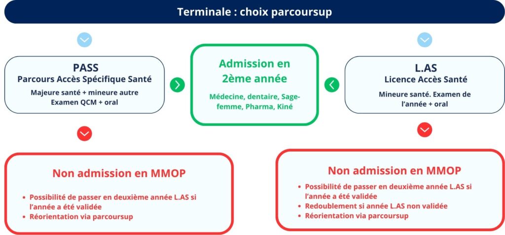 Réforme PACES
